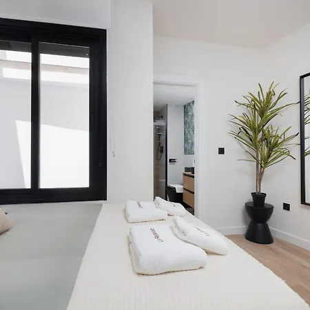 C56 - With Amazing Terrace In The Centre Apartment Malaga
